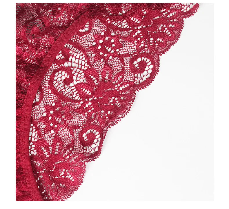 Hot Sale Wholesale High Stretch Soft Breathable Sexy Hollow Large Size Women Lace Hipster Underwear Briefs 5 Colors